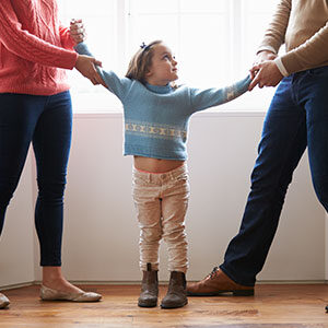 Child Custody Lawyer Consultation
