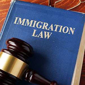 A book about immigration law.