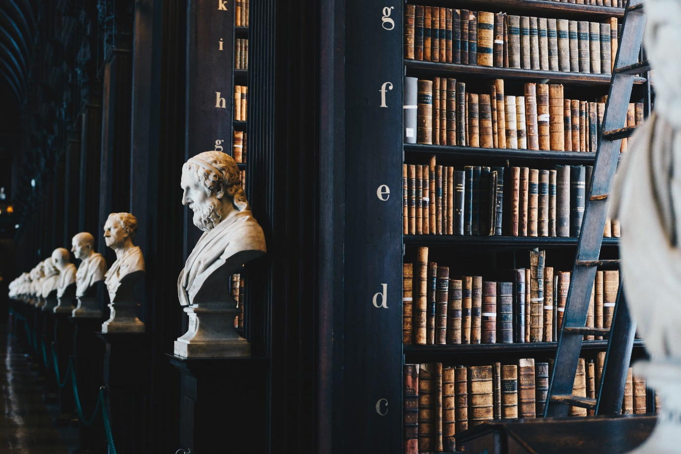 A library with books for family court lawyers 